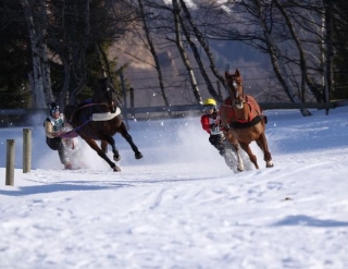  滑雪课程和比赛